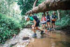 BIB: 
                            <button type="button" onclick="openModal(25372496)" class="btn btn-primary btn-sm float-right btn-popup" data-toggle="modal" data-target=".modal-high-quality">
                        <i class="fas fa-shopping-cart"></i> Add to Cart
                    </button>
                                            <button type="button" onclick="isThisMe(25372496, true)" class="btn btn-success btn-sm float-right btn-popup btn-isme hidden" data-toggle="tooltip" data-placement="bottom" title="นี่คือรูปของคุณใช่ไหม คลิกที่นี่เพื่อเอาเข้าอัลบั้ม">
                        <i class="fas fa-plus"></i> Add to album
                    </button>
                    <button type="button" onclick="isThisMe(25372496, false)" class="btn btn-warning btn-sm float-right btn-popup btn-isnotme hidden">
                        <i class="fas fa-ban"></i> Remove from album
                    </button>